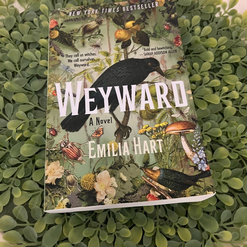 Weyward Novel by Emilia Hart